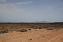 Kanary_2010 101